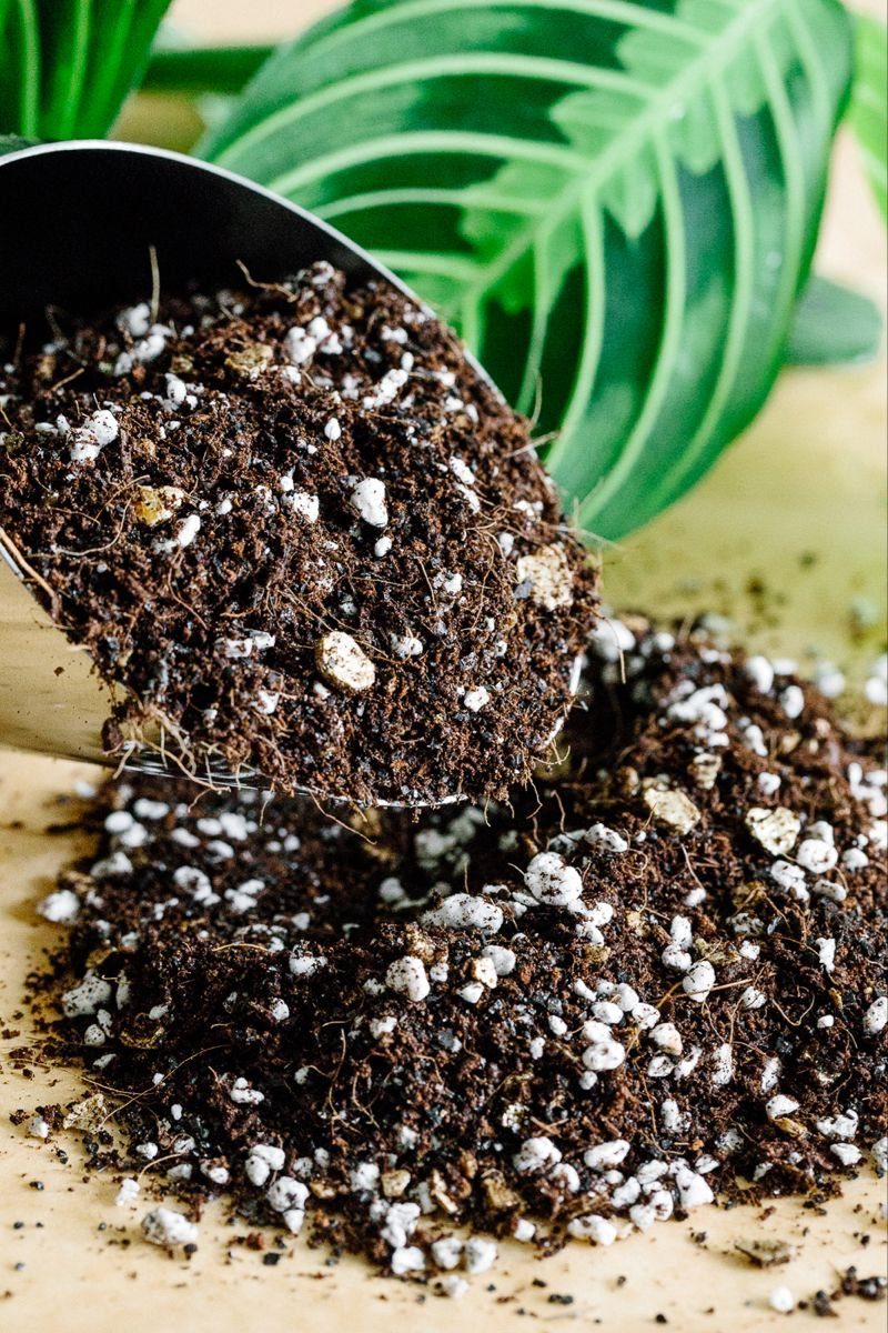 11 Cheap Container Gardening Ideas for Small Spaces 1 A metal scoop pouring dark potting soil mixed with white perlite onto a surface.