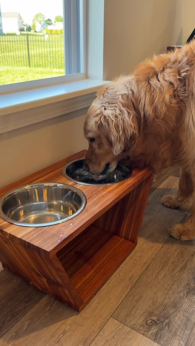 Golden retriever eating from a stainless steel bowl inside a raised wooden dog bowl stand.