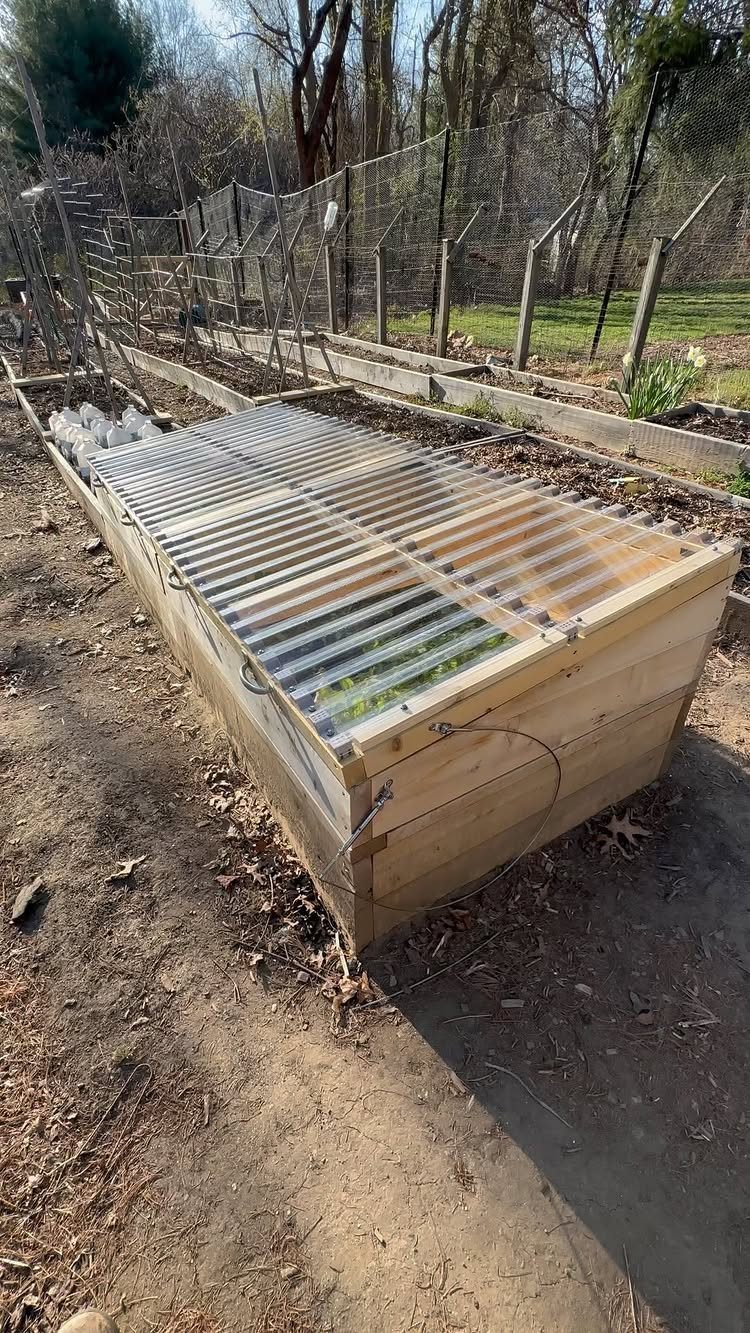 A wooden cold frame with a transparent slatted lid protecting small green plants in a garden.