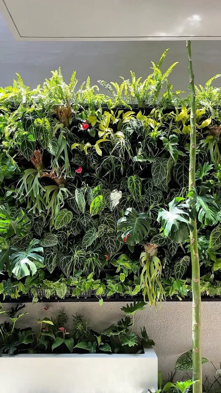 A dense vertical garden wall featuring various green tropical plants and small red flowers.