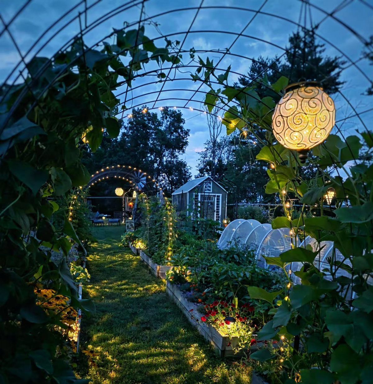 Climbing green vines grow over metal garden arches illuminated by glowing spherical lanterns at dusk.