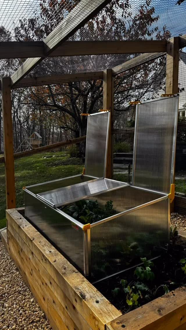 10 Easy Greenhouse Ideas for Any Backyard and Budget 6 A clear polycarbonate cold frame with open lids sits on a wooden raised garden bed containing green plants.