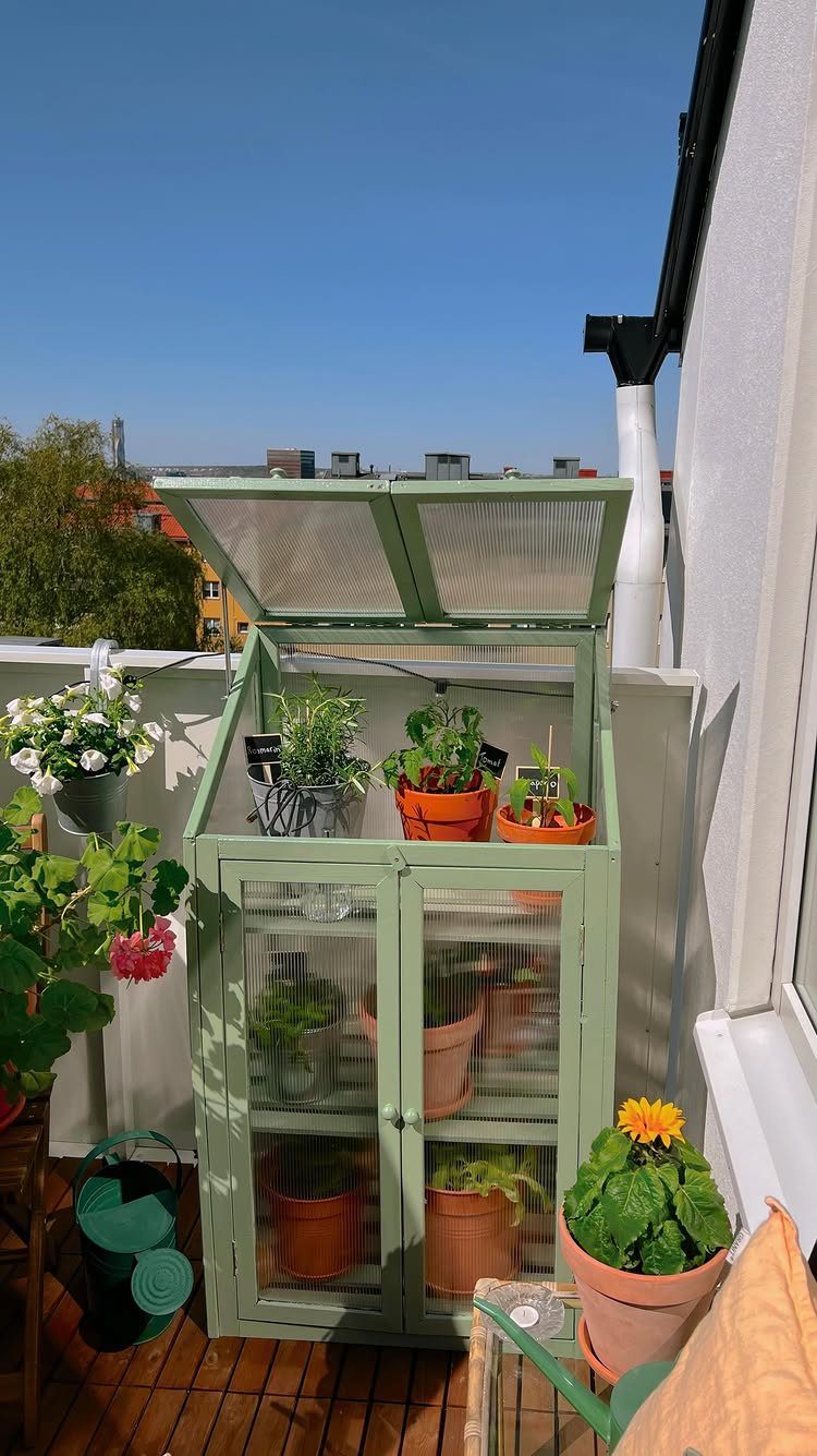 10 Easy Greenhouse Ideas for Any Backyard and Budget 4 A light green wooden mini greenhouse with potted plants on a sunny balcony.