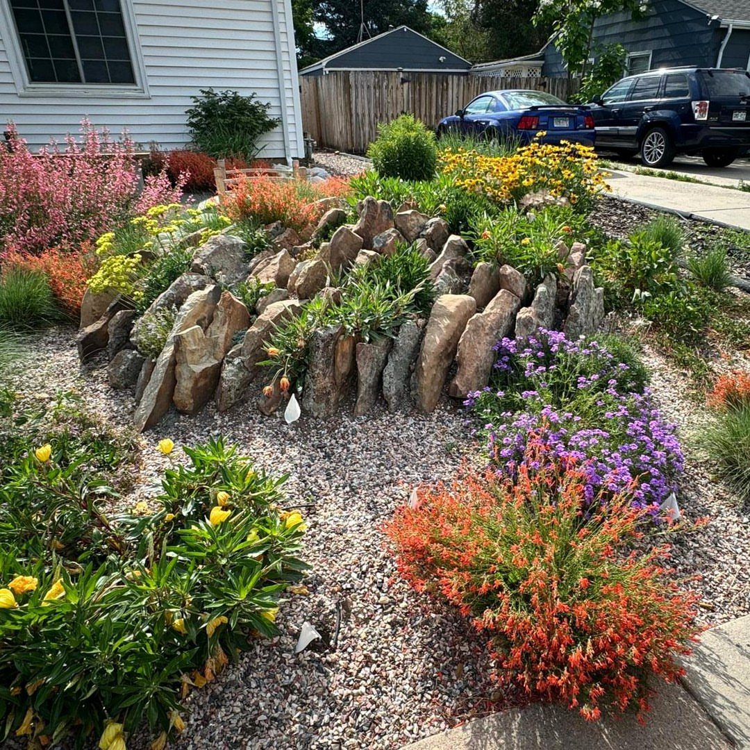 17 Front Flower Bed Ideas for Small Yards and Sunny Corners 9 Colorful flowering plants and green shrubs grow among large rocks in a gravel garden bed.
