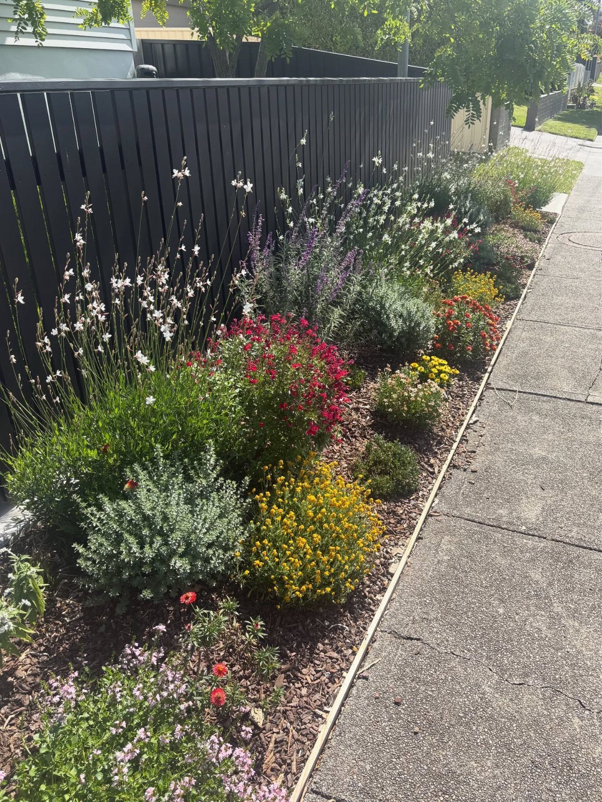 17 Front Flower Bed Ideas for Small Yards and Sunny Corners 16 A colorful garden bed with red, yellow, and white flowers planted along a sidewalk.