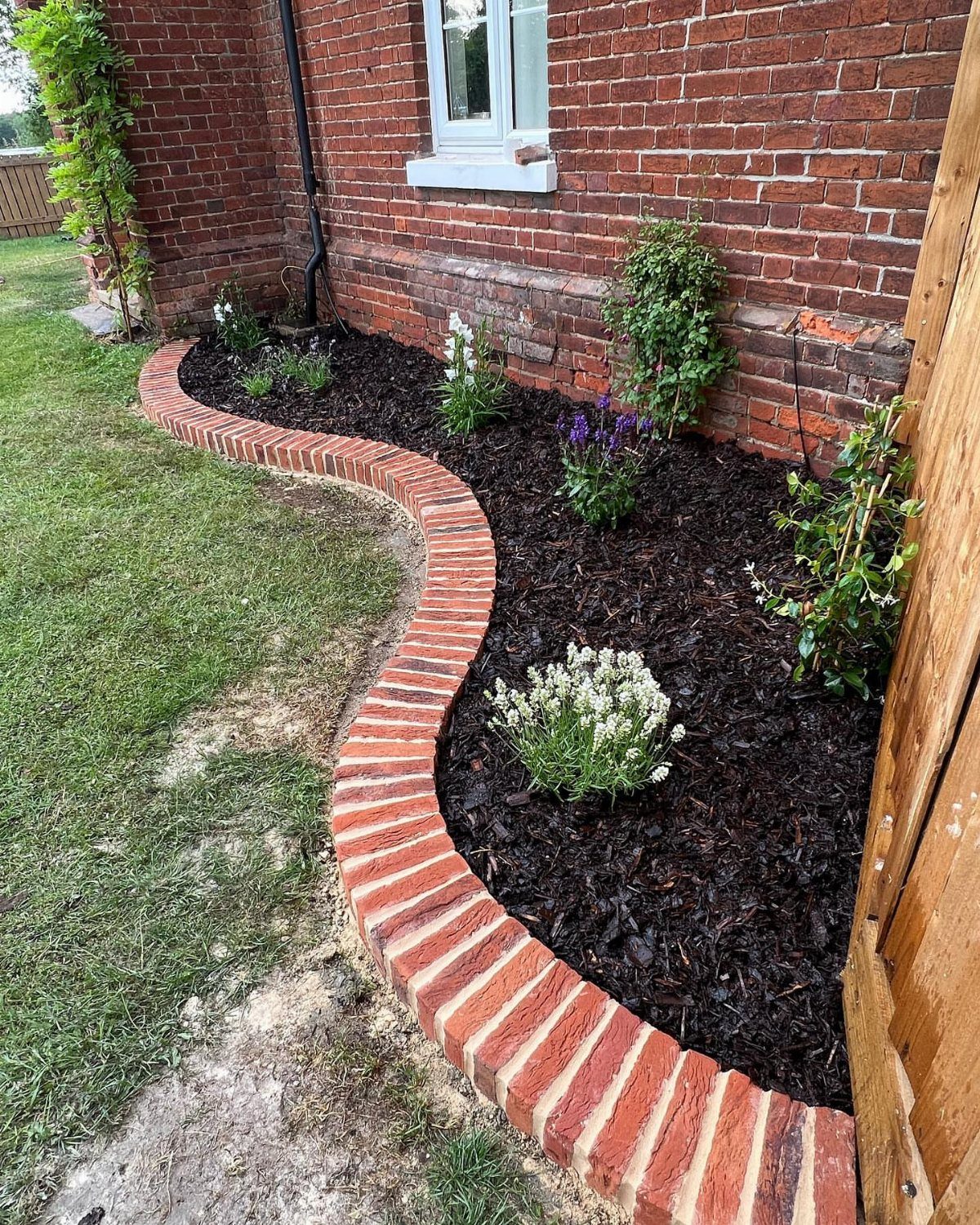 17 Front Flower Bed Ideas for Small Yards and Sunny Corners 7 A curved garden bed with red brick edging and dark mulch containing small flowering plants.
