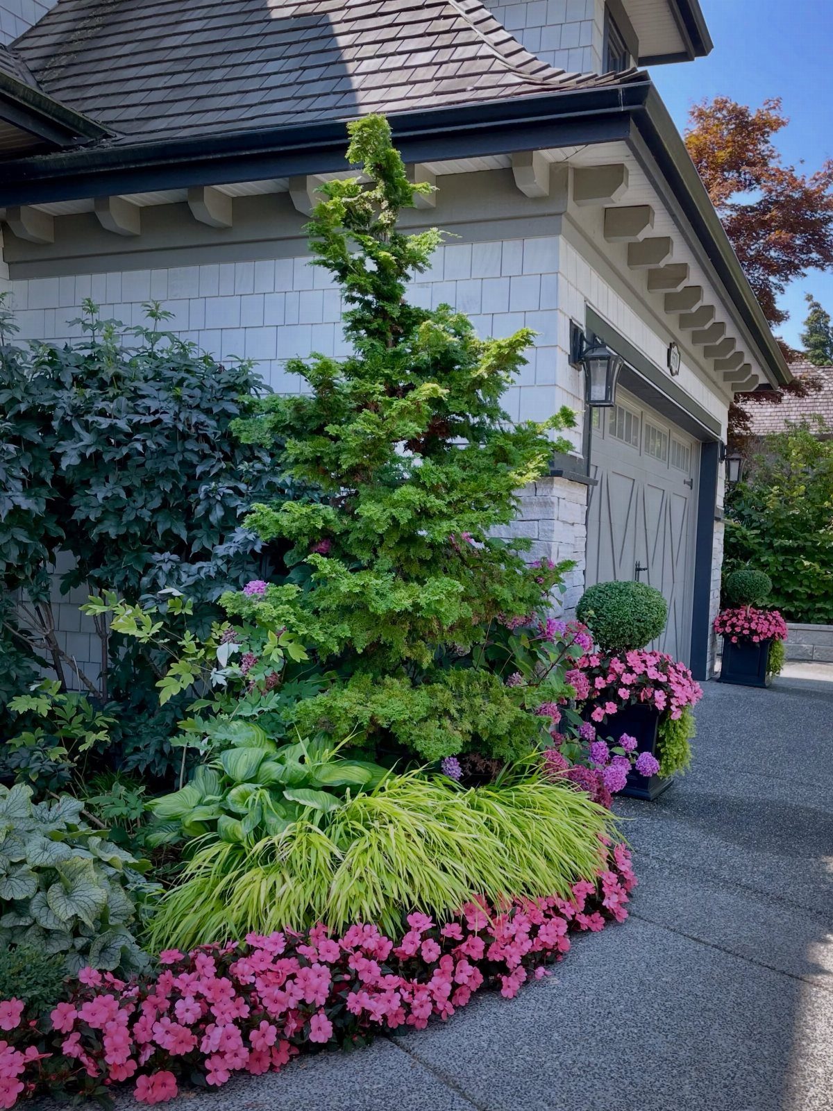 13 Front Lawn Landscaping Ideas for Curb Appeal and Low Upkeep 7 Tall evergreen tree surrounded by medium shrubs and pink groundcover flowers by a house.