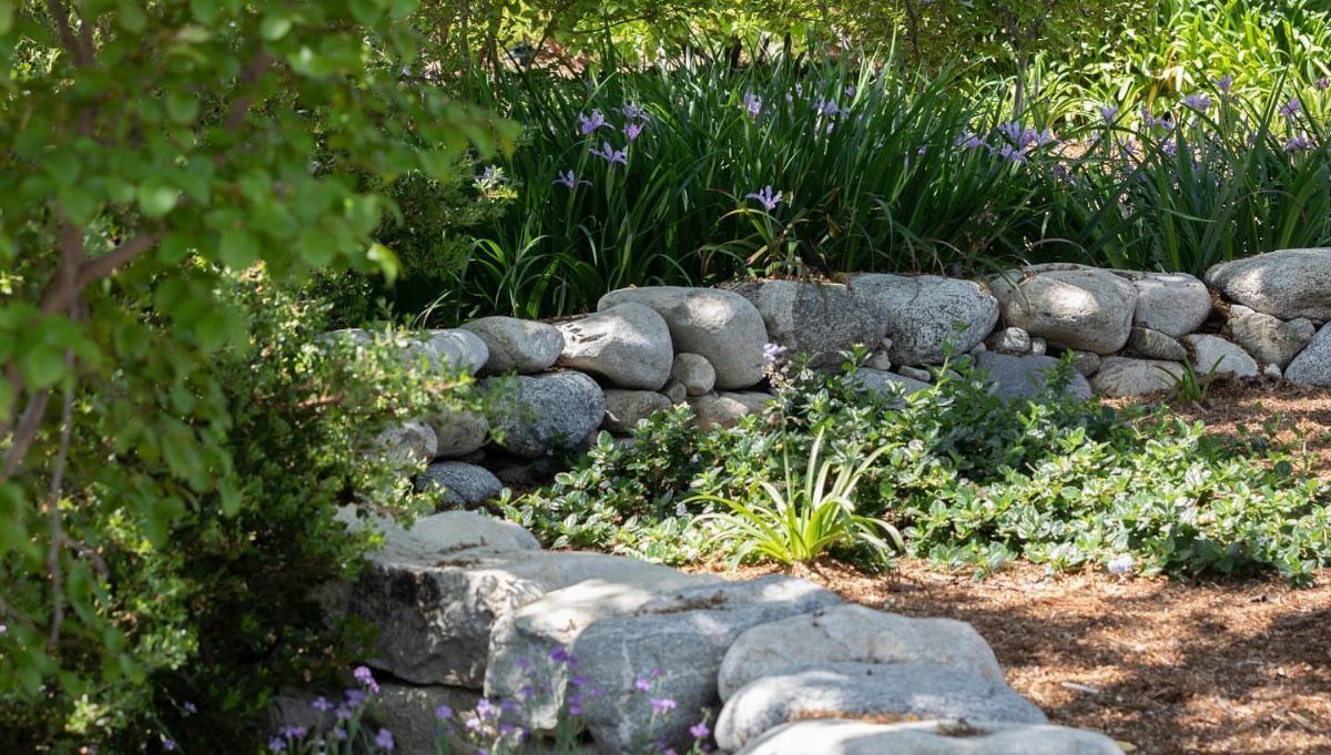 10 Garden Front of House Ideas: From Foundation Beds to Arbors 9 Large grey stones form a low retaining wall bordering a lush garden bed with purple flowers.