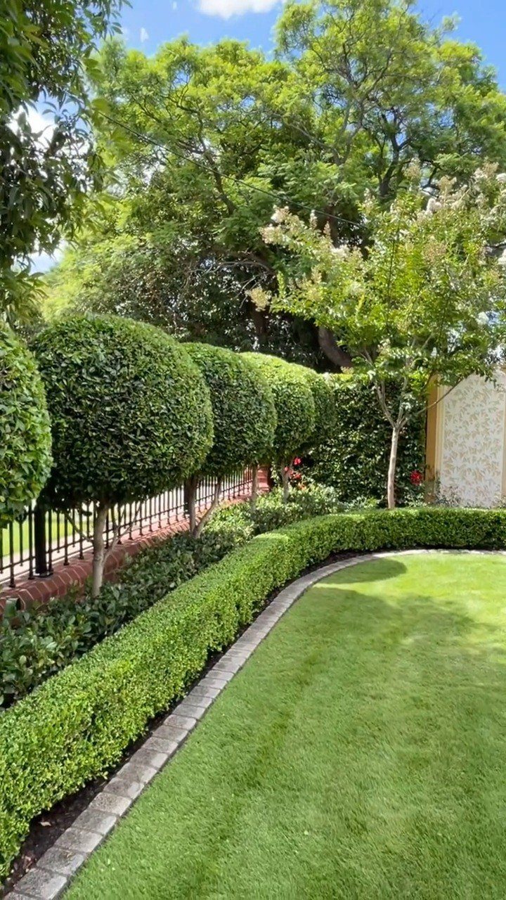 10 Garden Front of House Ideas: From Foundation Beds to Arbors 4 Manicured green hedges and spherical topiary plants lining a lawn and a black metal fence.
