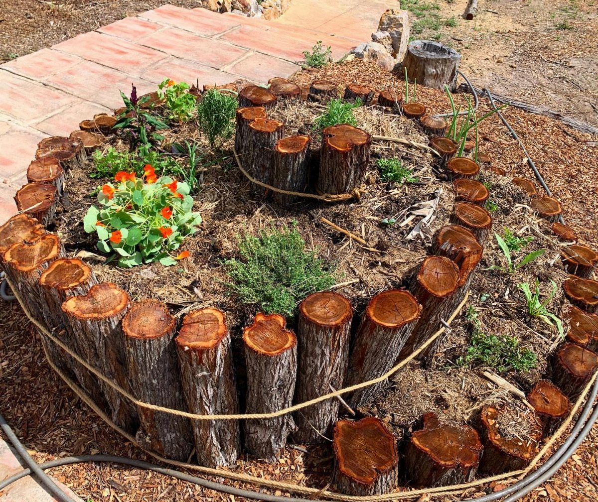 Herbal Garden Layout: 8 Designs for Small Spaces 3 A circular herb garden bed made of vertical wooden logs filled with green plants and mulch.