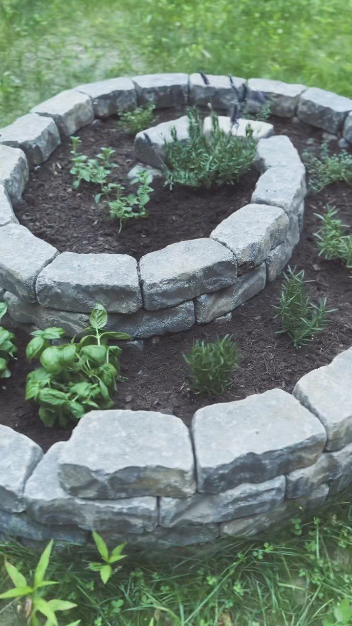 Herbal Garden Layout: 8 Designs for Small Spaces 5 A stone herb spiral garden with green plants growing in tiered soil levels.