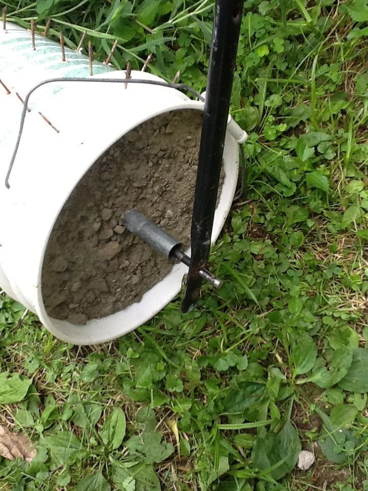 White bucket filled with soil and nails protruding from the side on a green lawn.