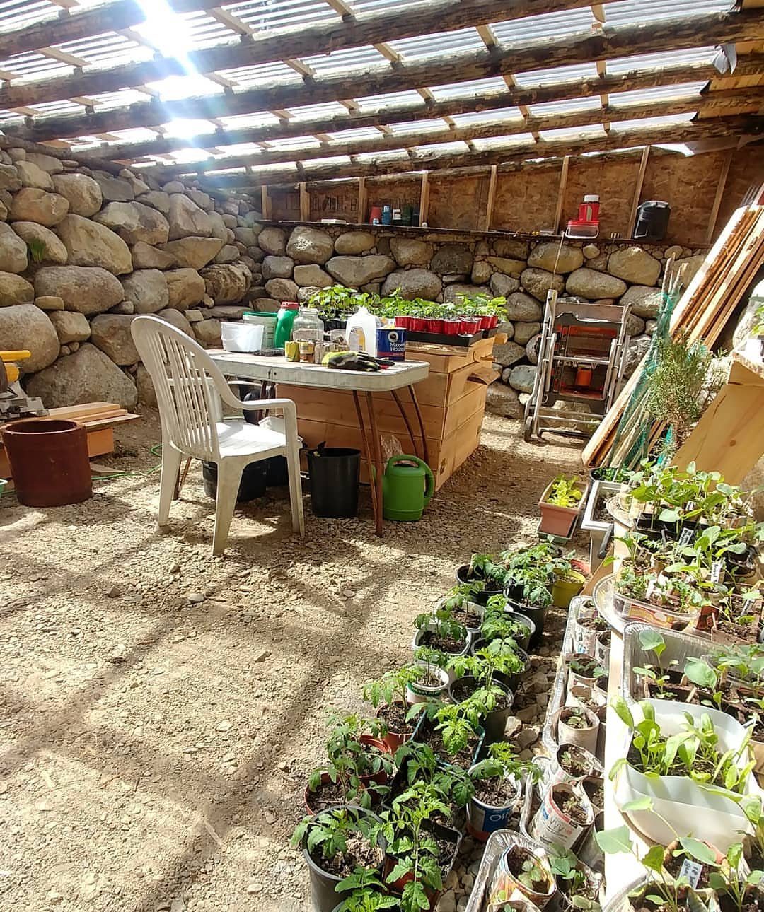 Small potted plants arranged on the floor and workbench inside a rustic stone greenhouse.