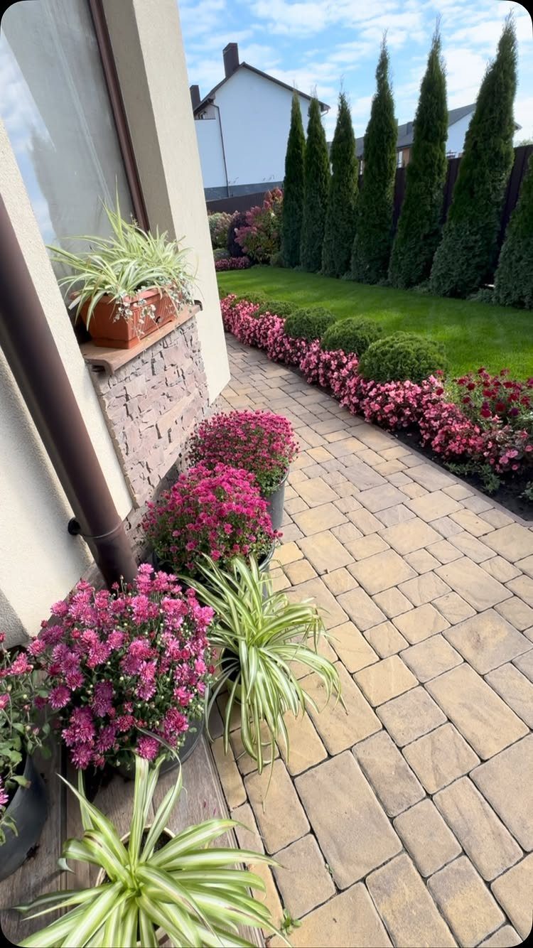 Paved walkway lined with pink flowers, green plants, and small manicured shrubs next to a house.