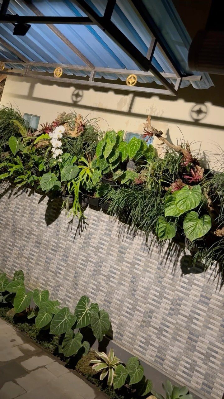 Green leafy plants and ornamental grasses growing in a narrow garden strip along a tiled wall.
