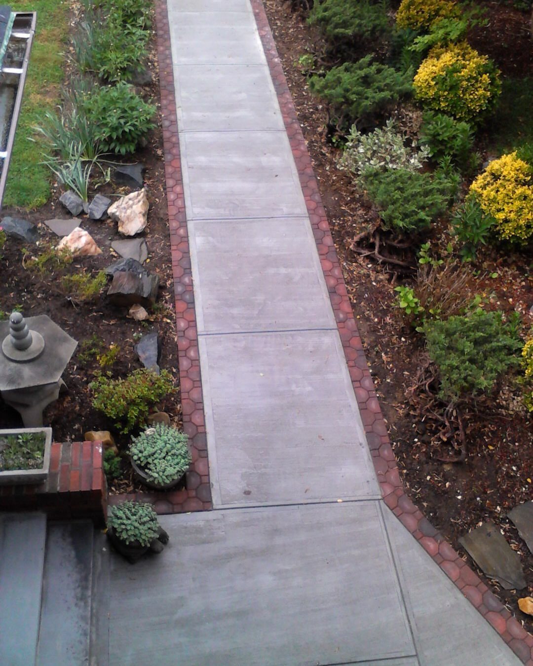 11 Landscaping Front Walkway Ideas: Flagstone to Paver & Modern Styles 11 A concrete walkway lined with a border of red bricks and surrounded by garden plants.