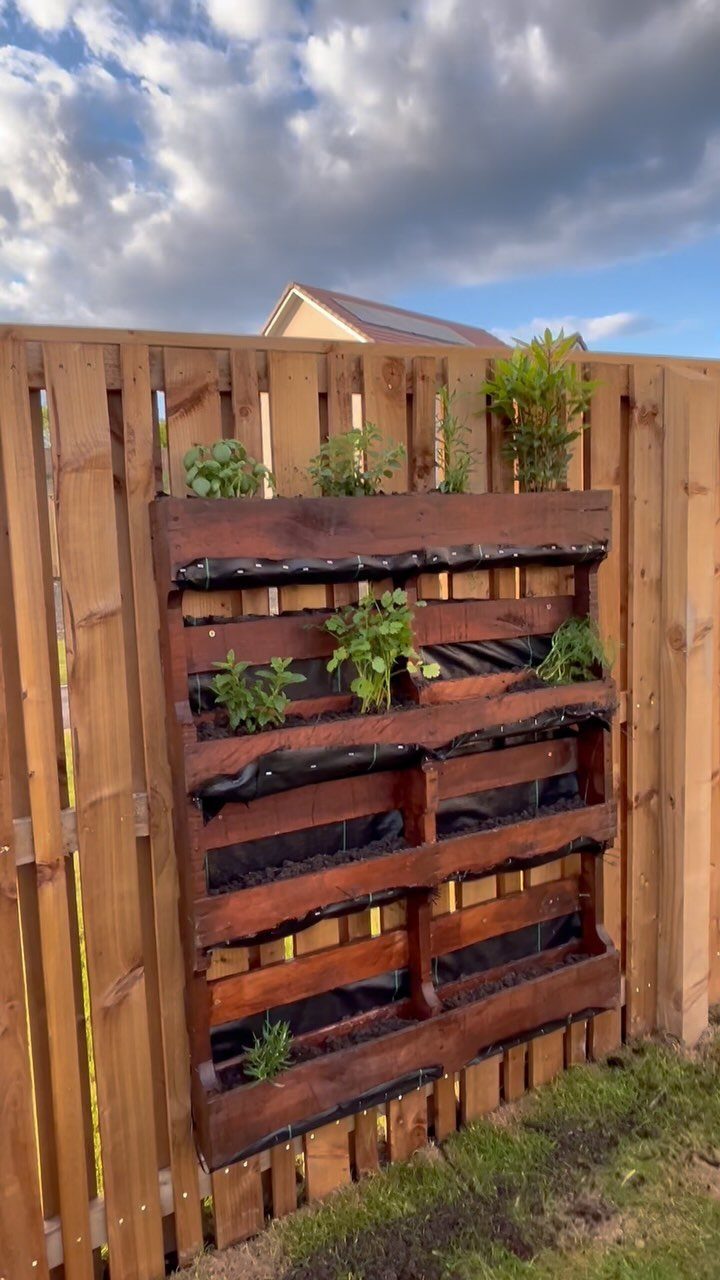 16 Low Budget Backyard Ideas to Refresh Your Outdoor Space 2 A dark wooden pallet vertical garden with green plants mounted on a wooden fence.