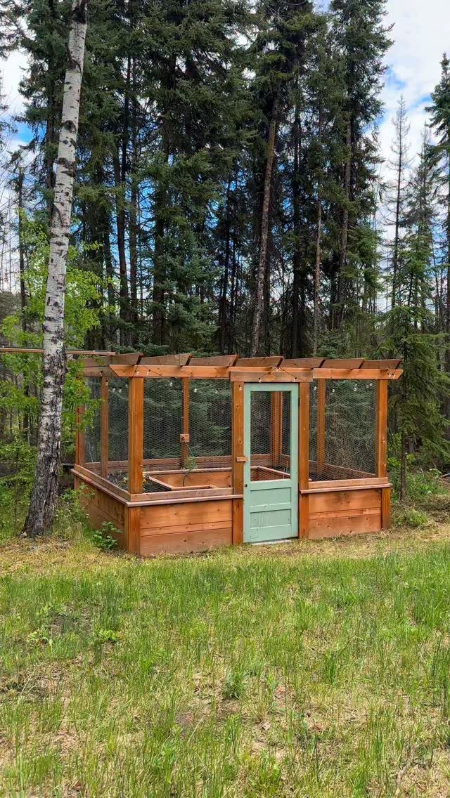 16 Low Budget Backyard Ideas to Refresh Your Outdoor Space 1 Wooden raised garden bed with wire mesh enclosure and a small green door in a forest.