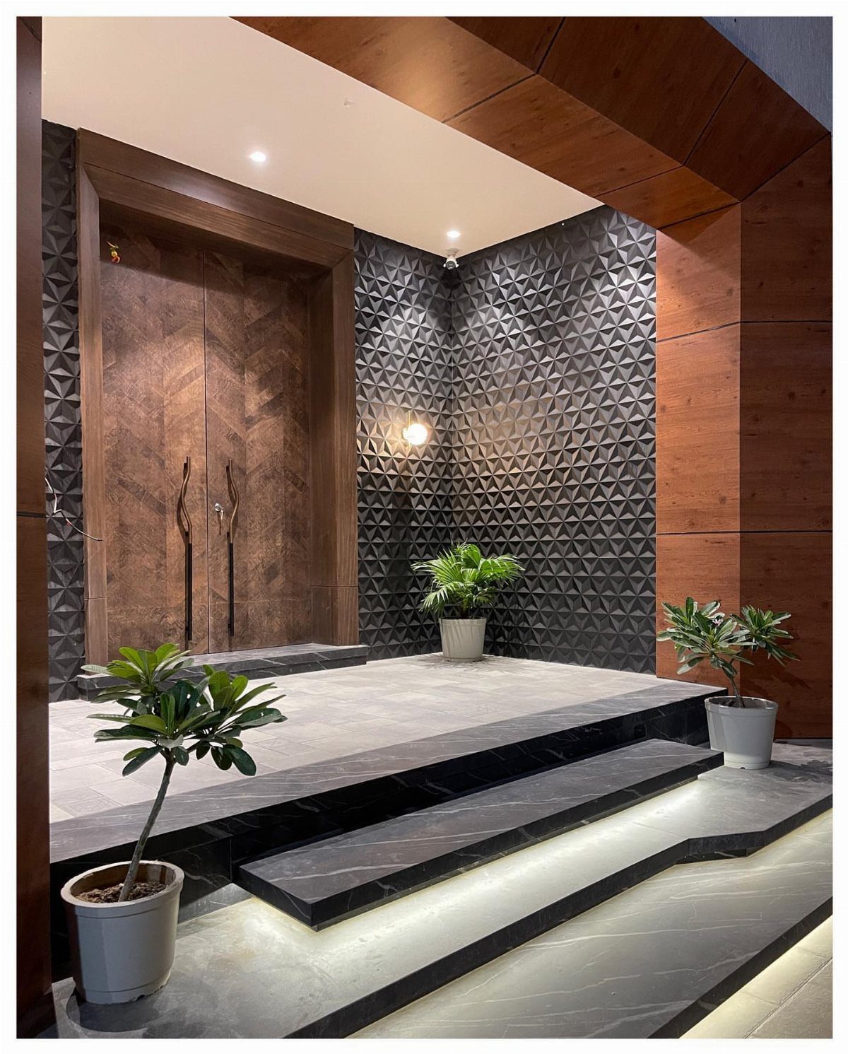 Modern wooden double doors set against textured black walls with potted plants on stone steps.