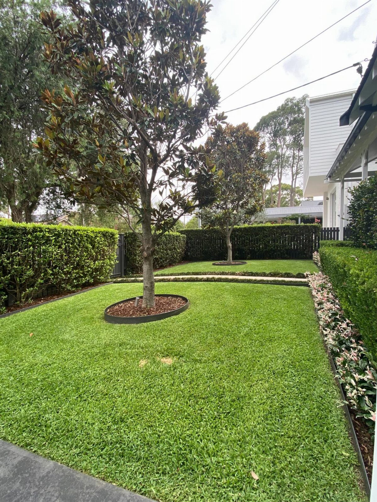 Manicured green lawn with two trees and neatly trimmed privacy hedges surrounding the yard.