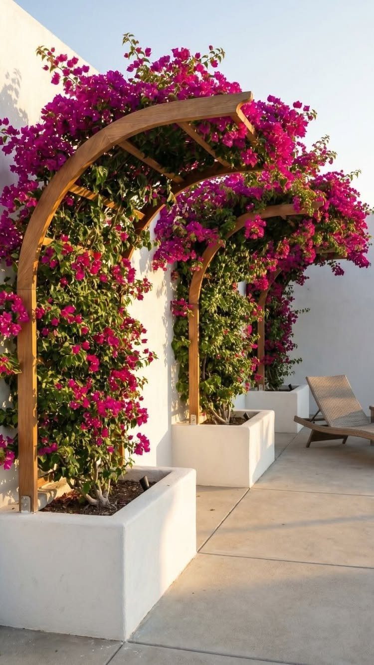 9 Outdoor Flower Pots Ideas with Window Boxes, Trellises & Wall Pots 4 Pink flowering plants climbing wooden arches in large white rectangular planters on a patio.