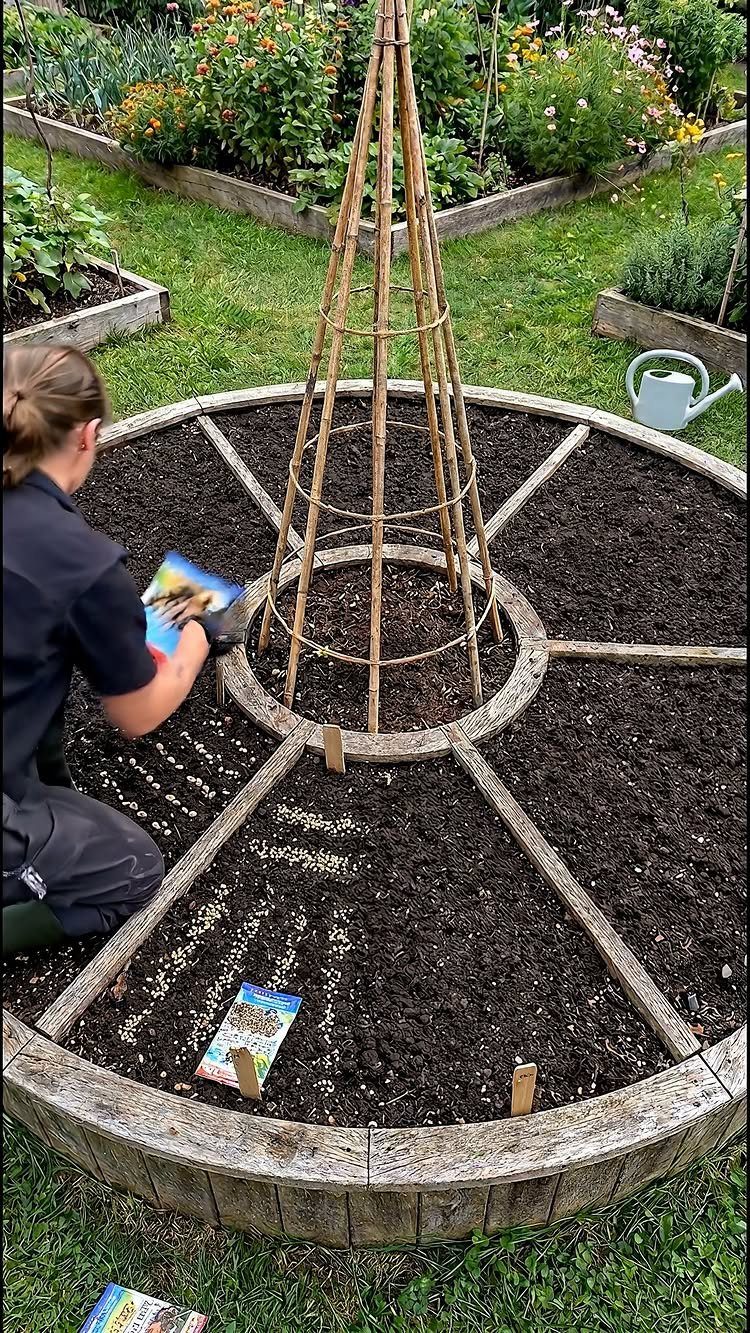 A circular wooden raised garden bed with a bamboo teepee and segmented soil sections.