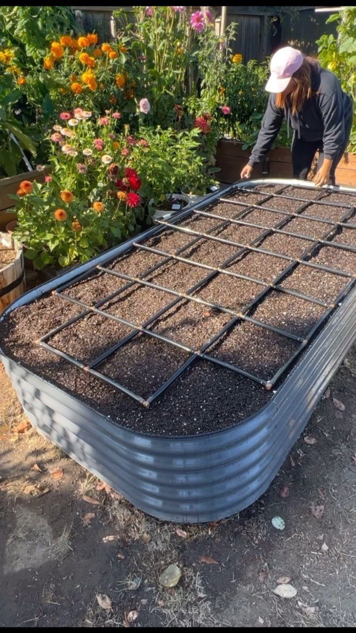 A person tends to a large metal raised garden bed with a black grid divider.