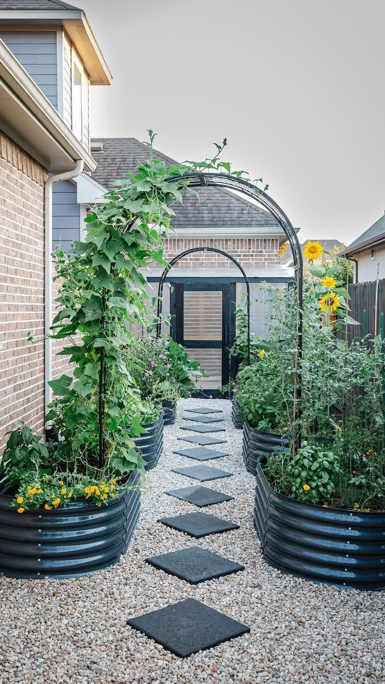 Small Space Vegetable Garden: 10 Ideas for Tight Spots 6 Black metal raised garden beds with climbing vines and flowers along a gravel path.
