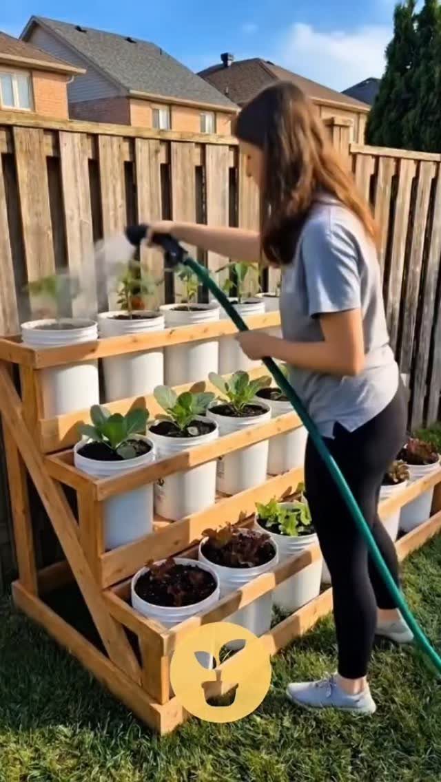 Small Space Vegetable Garden: 10 Ideas for Tight Spots 8 A woman watering various green plants growing in white buckets on a tiered wooden stand outdoors.