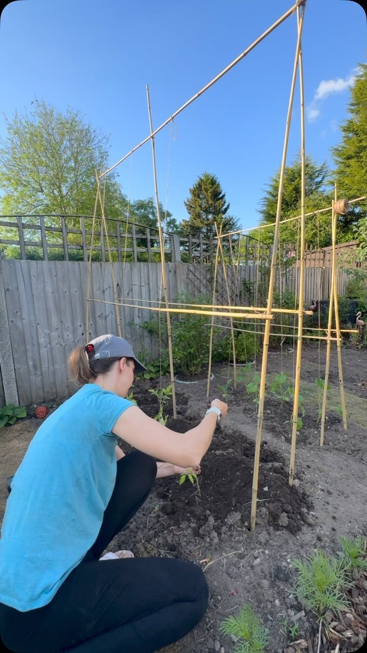 Tomato Gardening Tips: 11 Ways to Grow a Better Crop 3 A woman gardening next to tall bamboo structures used for plant support in a backyard.