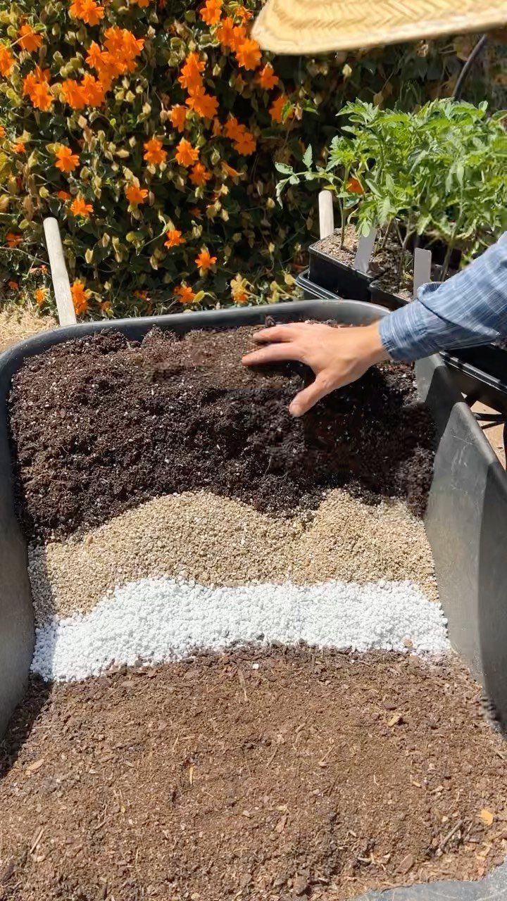 Tomato Gardening Tips: 11 Ways to Grow a Better Crop 4 A hand touching dark organic soil layered with sand and white perlite in a black bin.