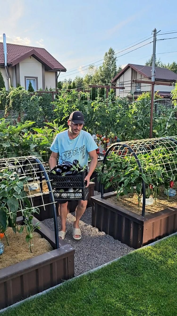 17 Veg Garden Ideas for Layouts,Containers & Vertical Growing 1 A man carrying a crate of vegetables through a garden with wooden raised beds.