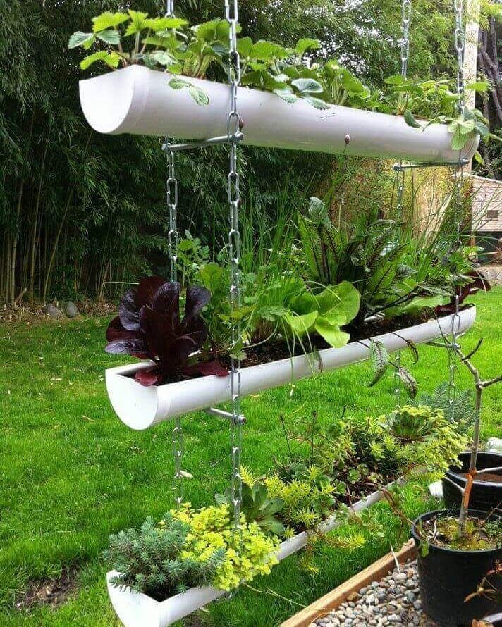 17 Veg Garden Ideas for Layouts,Containers & Vertical Growing 13 Suspended white PVC pipe planters filled with green plants and strawberries hanging in a lush garden.